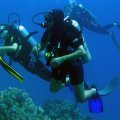 Zaroni u Egiptu, ronilački klub TIMScuba Diving, Novi Sad