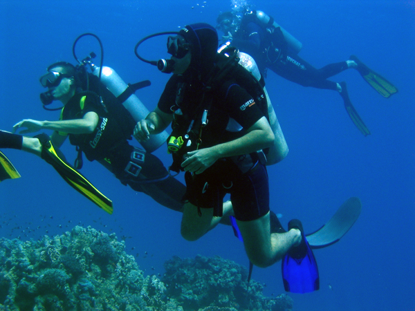 Zaroni u Egiptu, ronilački klub TIMScuba Diving, Novi Sad